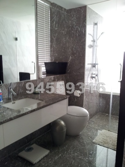 Sky@Eleven (D11), Condominium #454922